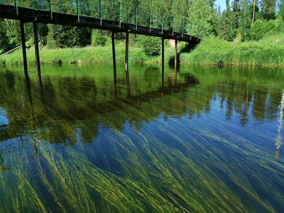 Мост через реки травы