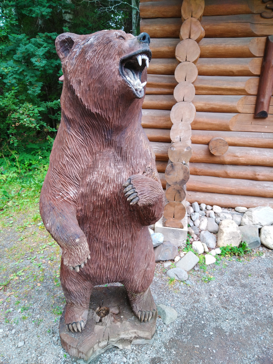 Медведь — символ Карелии